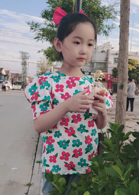 模特-