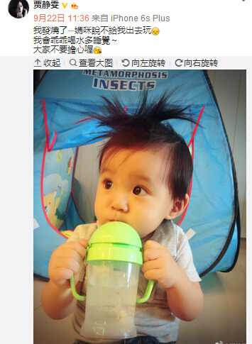 贾静雯微博截图
