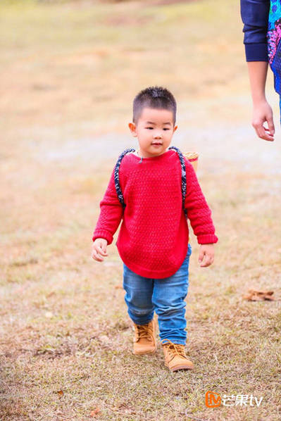 小鱼儿